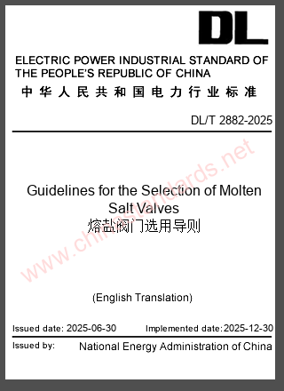 DL/T 2882-2025 in English DL/T 2882-2025 in English