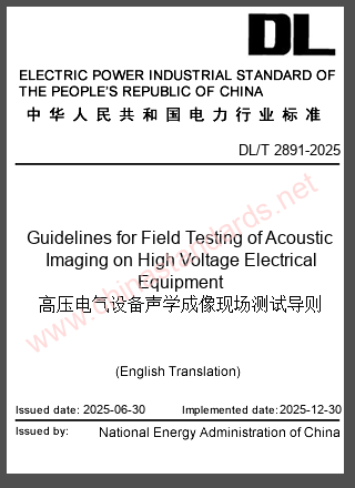 DL/T 2891-2025 in English DL/T 2891-2025 in English