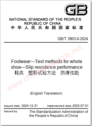 GB/T 3903.6-2024 in English GB/T 3903.6-2024 in English