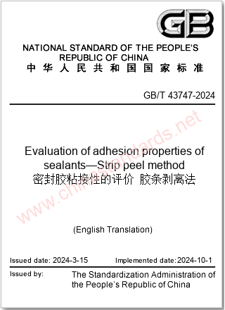GB/T 43747-2024 in English