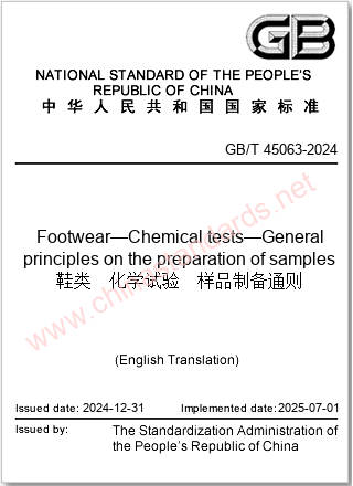 GB/T 45063-2024 in English GB/T 45063-2024 in English