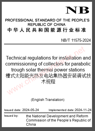 NB/T 11575-2024 in English