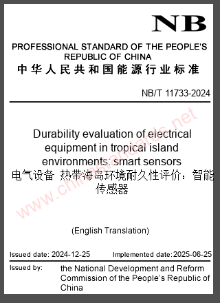 NB/T 11733-2024 in English
