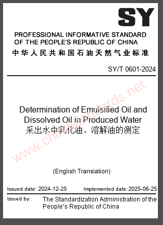 SY/T 0601-2024 in English SY/T 0601-2024 in English