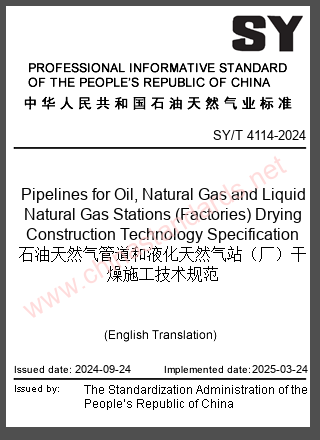 SY/T 4114-2024 in English
