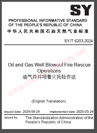 SY/T 6203-2024 in English