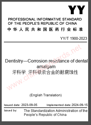 YY/T 1900-2023 in English YY/T 1900-2023 in English